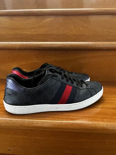 gucci ace gumtree|Gucci.